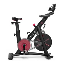 YESOUL S3 Indoor Cycling Stationary Exercise Bike